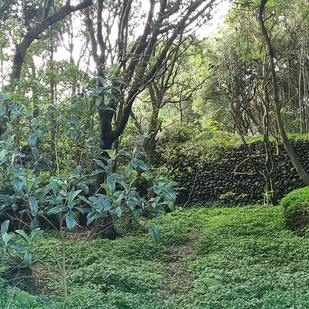 Casa Do Pinheiro, Graciosa Island Willa Trás dos Pomares