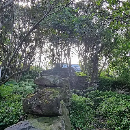 Casa Do Pinheiro, Graciosa Island Willa *