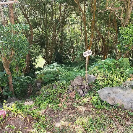 Casa Do Pinheiro, Graciosa Island *