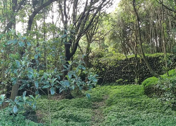 Casa Do Pinheiro, Graciosa Island Villa Tras dos Pomares