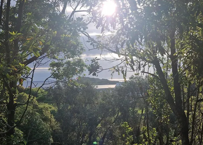 Casa Do Pinheiro, Graciosa Island Tras dos Pomares